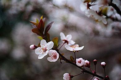 EA展示《死亡空间：重制版》的画面改进